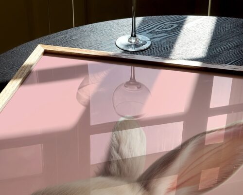 ⁦ארנבון בייבי עם פפיון בורוד עדין⁩ – תמונה ⁦6⁩