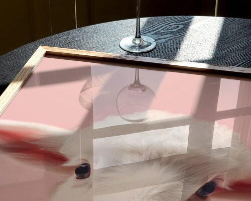 ⁦טלה בייבי עם פפיון על רקע ורוד עדין⁩ – תמונה ⁦6⁩