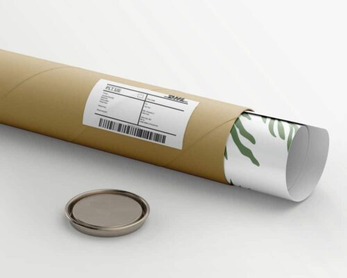 ⁦סט 2 תמונות לסלון בסגנון מינימליסטי צב ים ואצות⁩ – תמונה ⁦5⁩