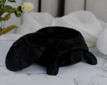 קופסת תכשיטים בצורת צב עם מכסה קונכיה פתוח מונחת על משטח שיש, ליד בד לבן וצמח ירוק ברקע.